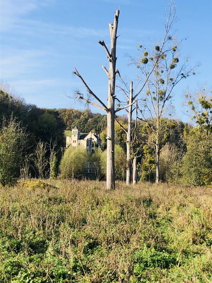 KoenStoop91's tweet photo. Vakantie in eigen provincie! #Limburg #Valkenburg https://t.co/zboCoK0HqZ