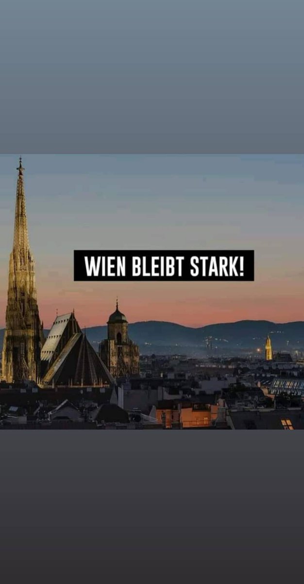 manuela_bu's tweet photo. #PrayforVienna #StaystrongVienna #schleichdiduoaschloch https://t.co/vceRmaBNYF