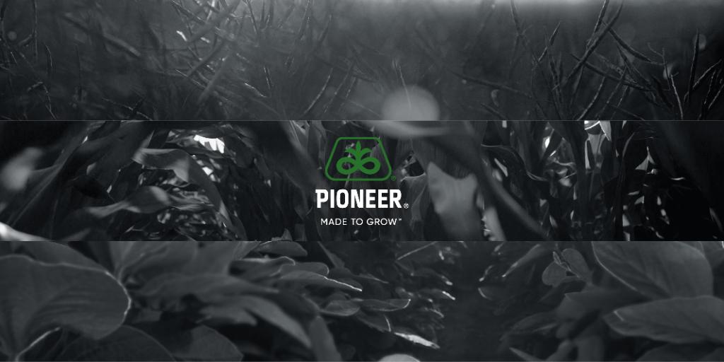 Pioneer Seeds Canada tweet media