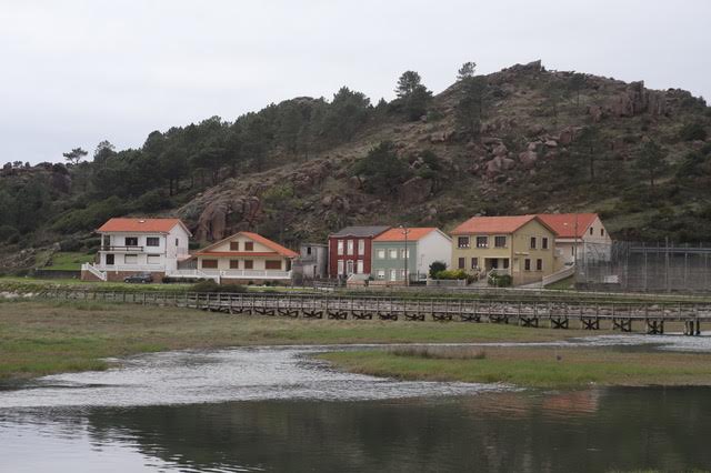 Alberto Ribas tweet media