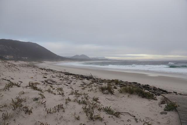 Alberto Ribas tweet media