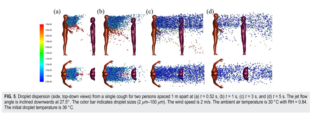 Dış mekanda öksürdüğünüzde ağınızdan çıkan su damlacıklarına ne oluyor?
aip.scitation.org/doi/10.1063/5.…
Eğer su damlacığının büyüklüğü &lt;50 µm ise uzun süre havada asılı kalabilir ve yaklaşık 6 m mesafeye gidebilir. Sıcaklık, nem, rüzgar ve viral yükler belirleyici faktörlerdir