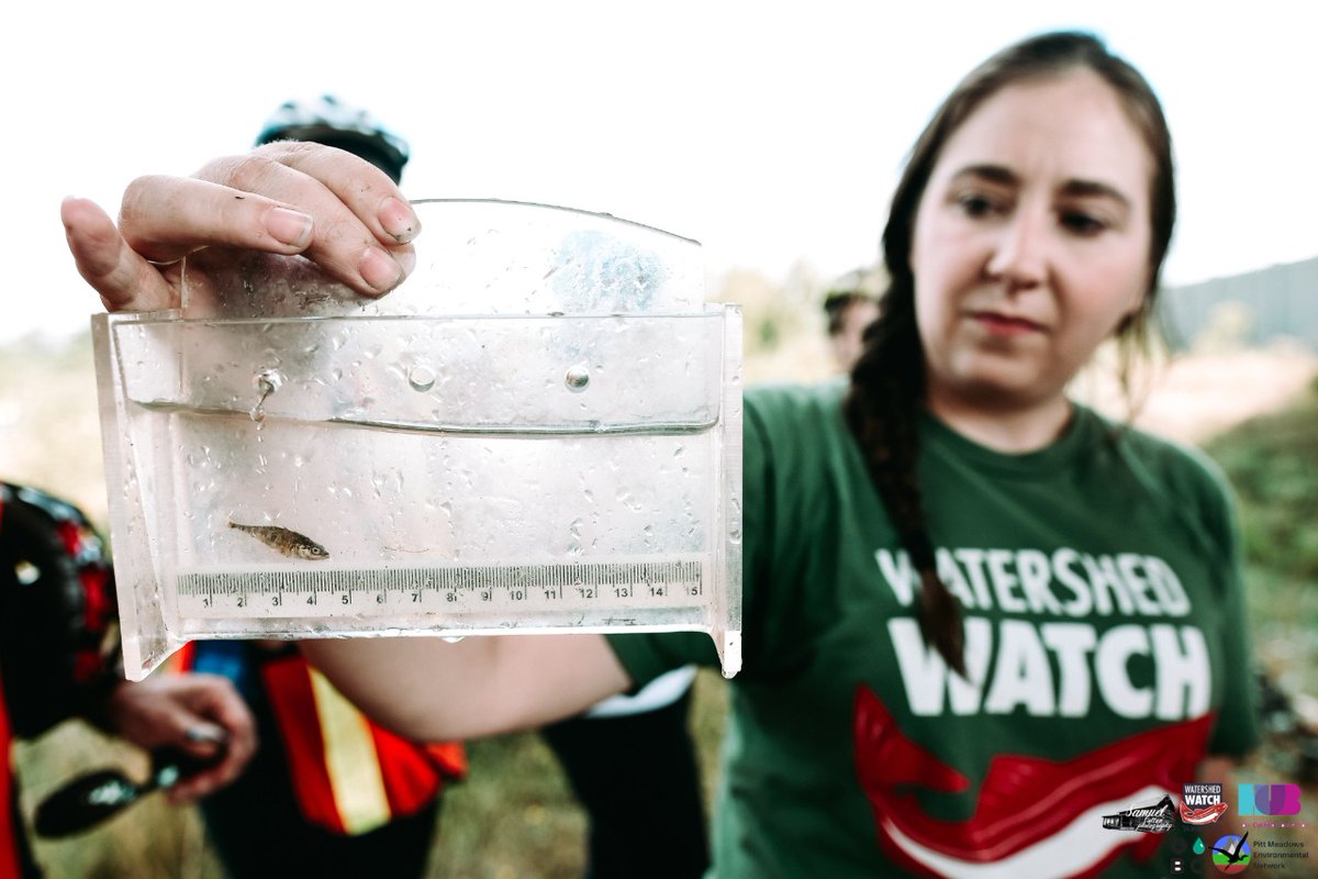 SFUENV's tweet photo. It was Meghan Rooney's desire to pursue a program with an outdoor component, varied work, opportunity to specialize, and the ability to make positive change that led her to completing a MSc in Ecological Restoration here at #SFU.

#SFUenvironment 

https://t.co/sdaUOkKIsc https://t.co/y41w97xuw2