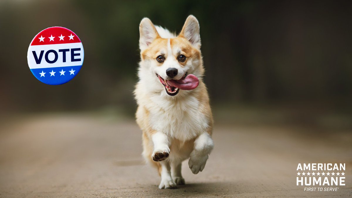 Zoos, Wildlife Park & Aquariums “Touch” the Heart of Millions