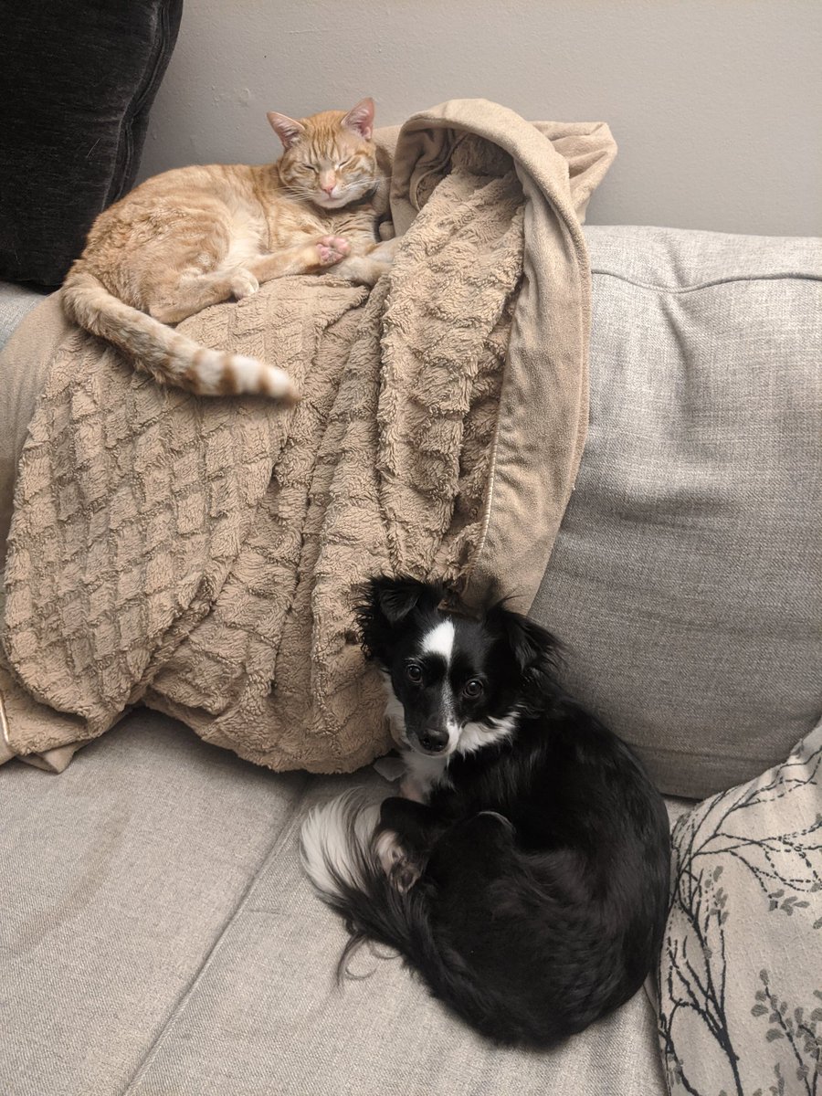 100/10 again, living the dream (cameo by Pixel! )