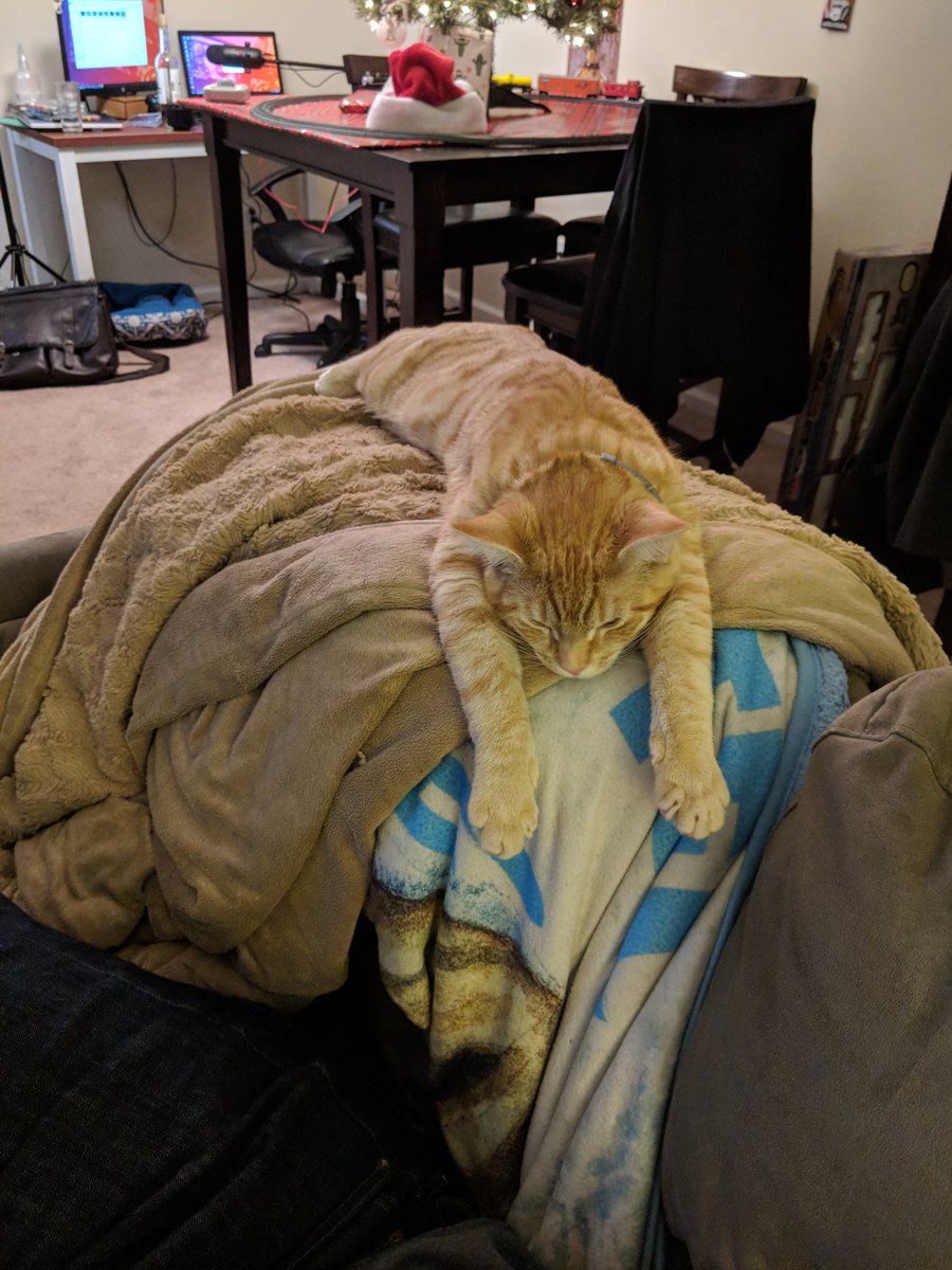 Up next, sprawled across the top of the couch. 10/10 ngl this is the dream