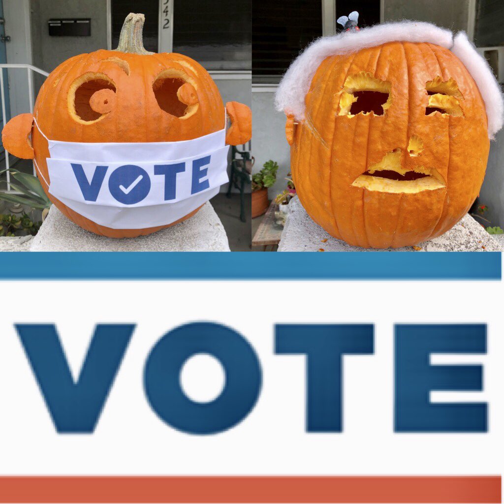 patricialgold's tweet photo. Did you vote yet? The birds in my neighborhood did! (Even they don’t like Mike!) #leftwingbirds #creepyghoulpencekin #vote #notfortrump #wearamask #makeamericasaneagain #lovetrumpshate #sciencerules https://t.co/BcF1X9gr9B