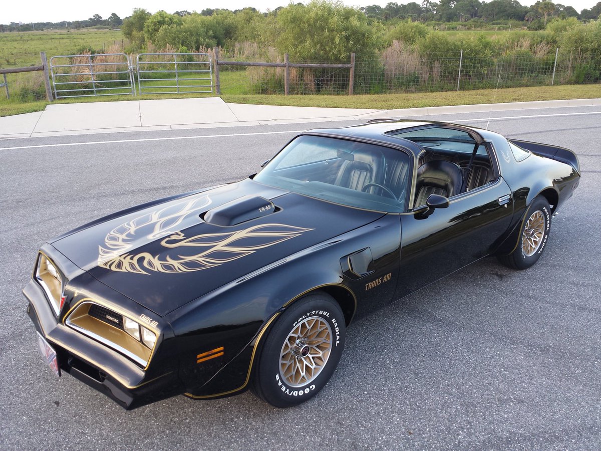 FloridaTransAM's tweet photo. And another original picture #77transam #bandit #Pontiac
Whoโs a fan ? https://t.co/qVuKAqNtKl