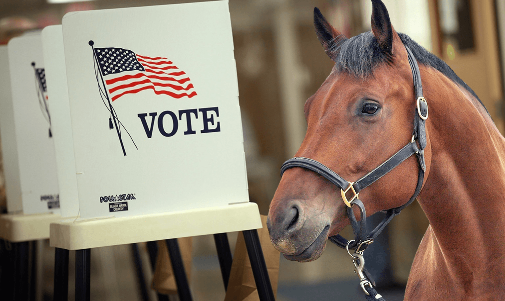 SUNYOrangeColts's tweet photo. Well, at least one Colt did his civic duty.  Did you?  #GoColts #OrangeVotes https://t.co/UteGg1Wqo1