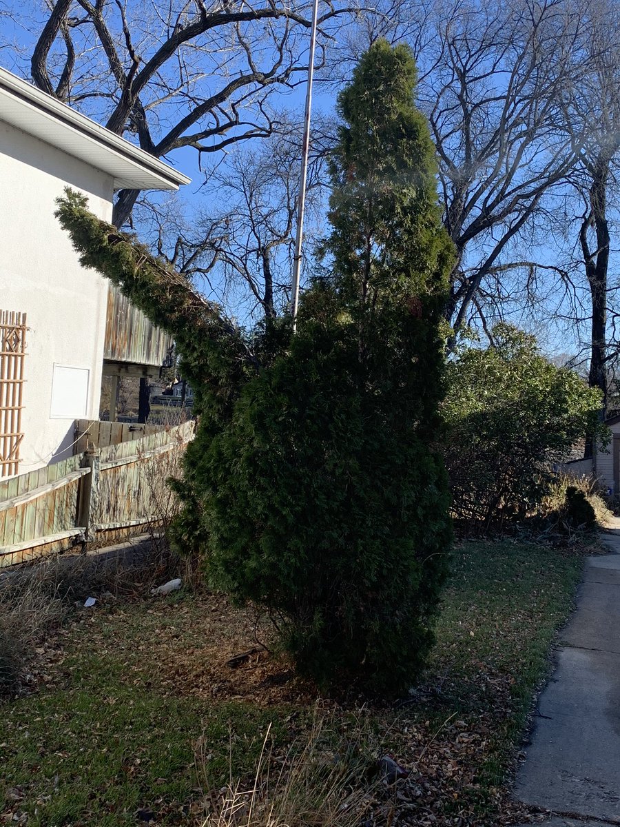 Jay Macdonald tweet media