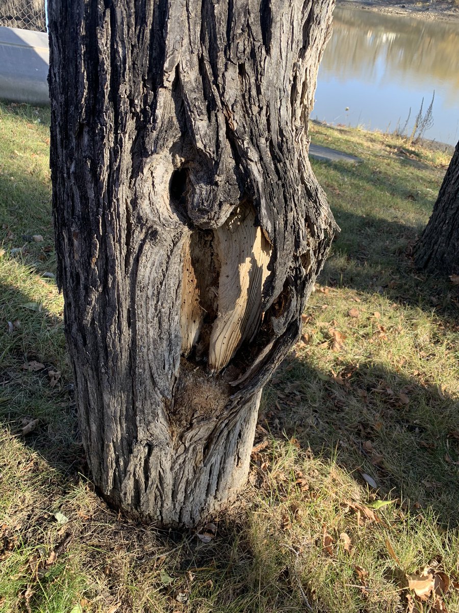 Jay Macdonald tweet media