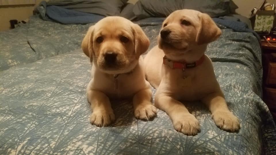 We are going live come chill