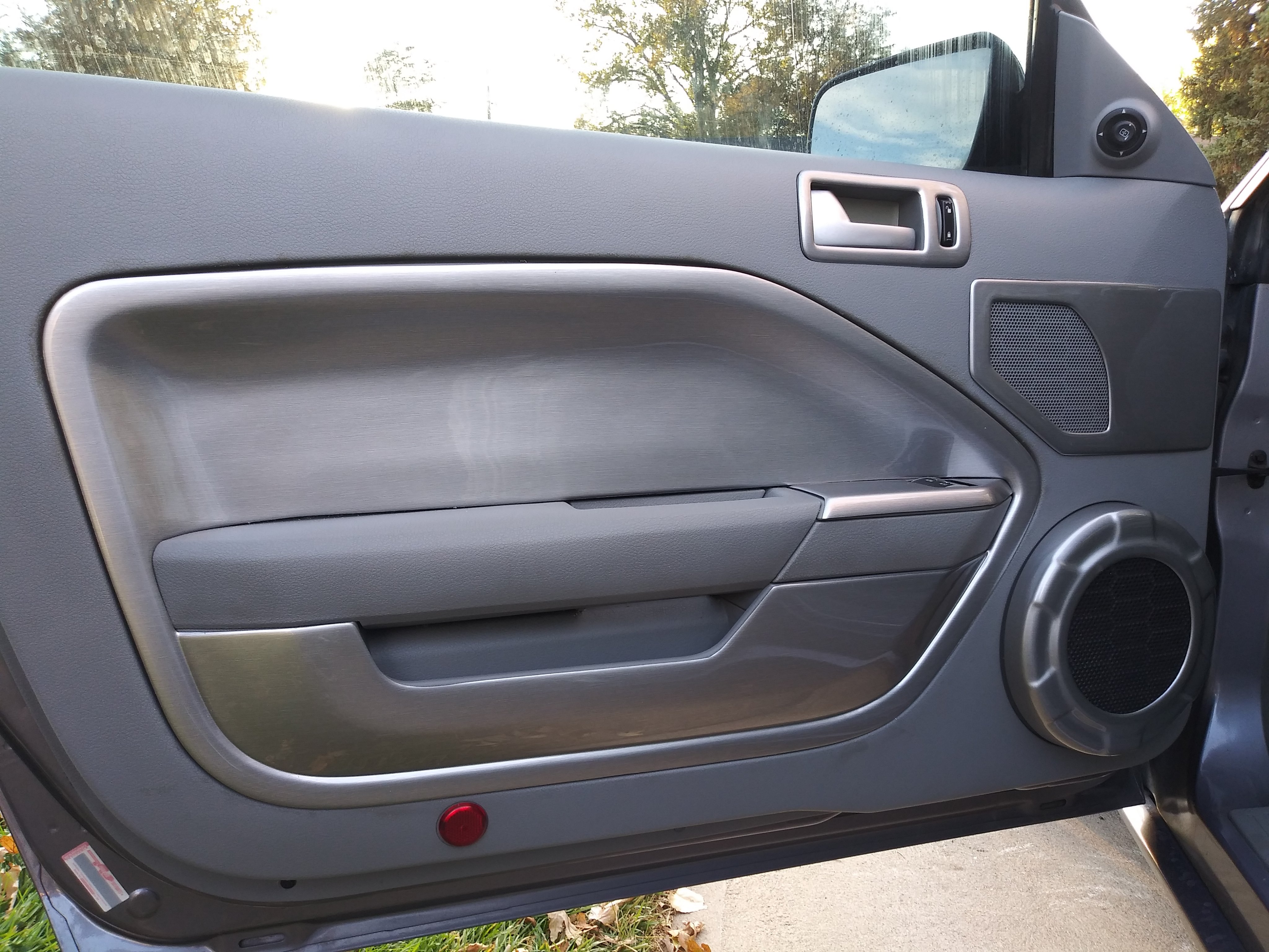 2006 mustang 2024 interior door panel