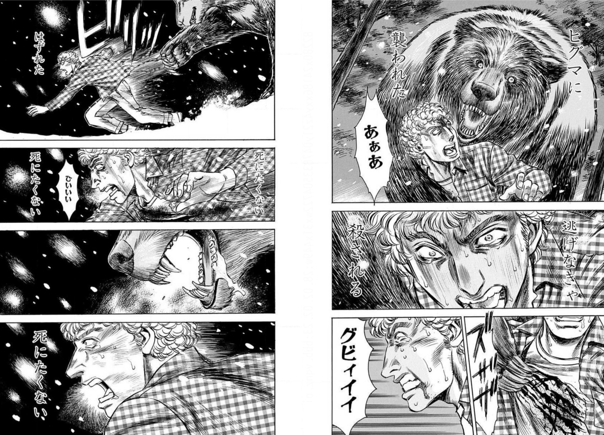 笑面虎イトちん Jax1nrneppbwvmu イwト あの羆にも哀しき過去が 格闘技漫画では噛ませ犬だが素手で羆に勝てる人間なんていないんだよね Twitter