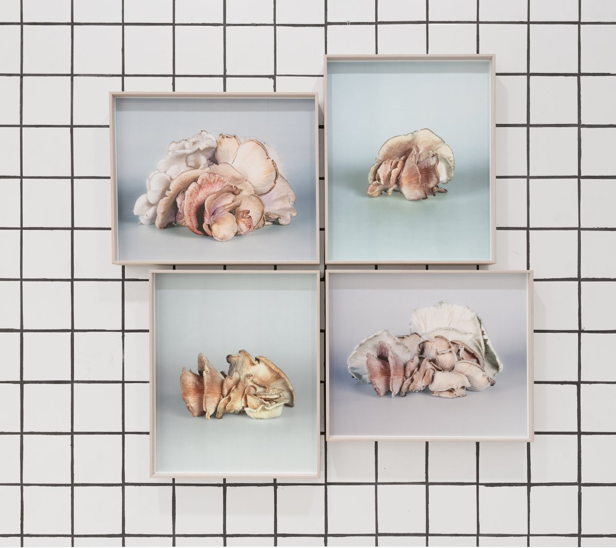 If in Lisbon on Saturday you are all welcome to the book launch with the work by <a href="/Mia_Dudek/">Mia Dudek</a>, published by A Corner With @galeriafoco x