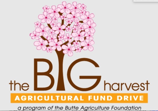 FarmTrail's tweet photo. Donations to https://t.co/PWPL15Tbqo between 11/1-12/31 will receive a match! Help us keep our tasting boxes going year round with your generous donation at #stillfarming #buttecounty #TastingBox #harvest2020 #farmtrail https://t.co/lTn9gVHuKd