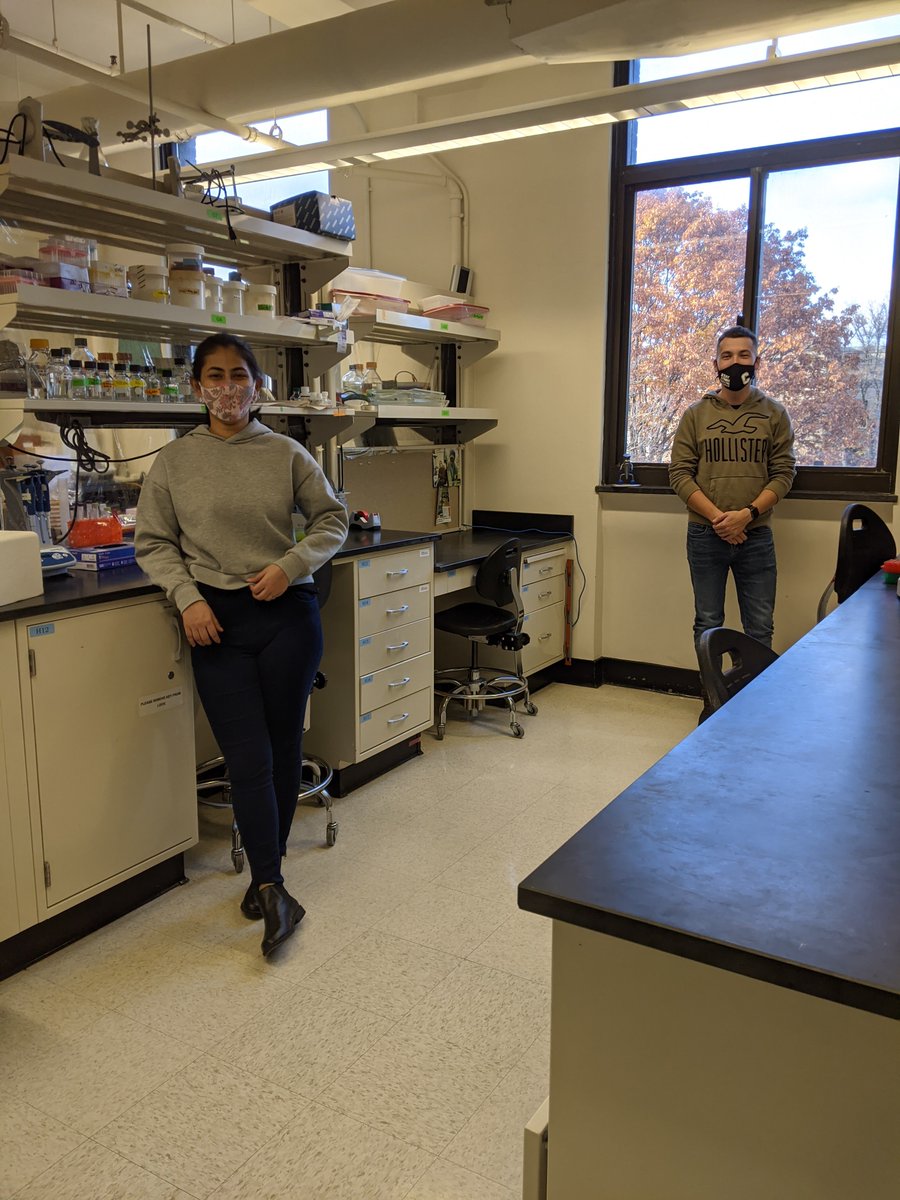 Bogdanove Lab tweet media