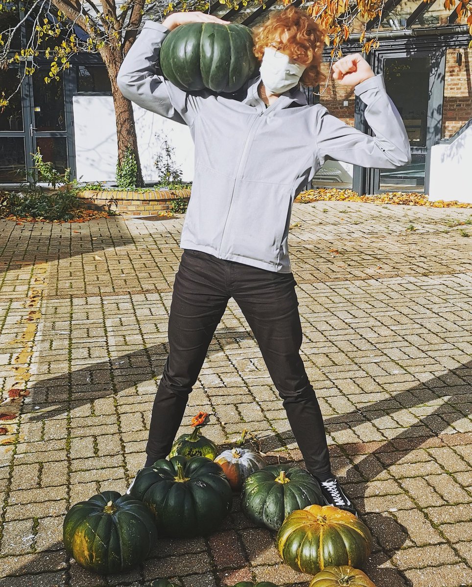 OVS_OnVaSemer's tweet photo. Séance de musculation pendant la récolte de courges ! #cultiversonjardin #resterenforme https://t.co/848Dkz3ngE