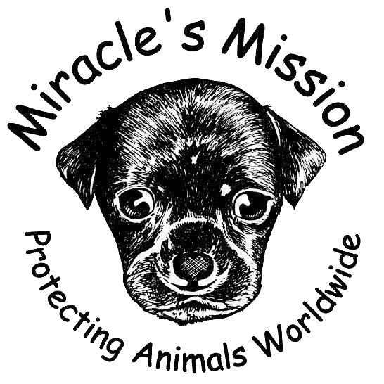 BreastestNews's tweet photo. #AnimalWelfare charity @MiriMission is offering a fab opportunity to sprinkle some Xmas cheer for the #RescueDogs & cats they foster; to buy them a Christmas dinner/toy. It’s the ultimate feel-good #StockingPresent for the dog or cat lover in your family https://t.co/LcdizfbJTn https://t.co/1LacMx7kS4