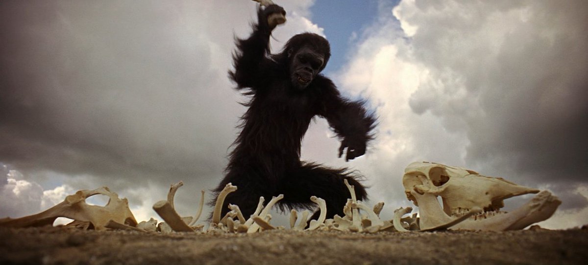 2001: A Space Odyssey (Stanley Kubrick, 1968)Yes, fine. Let's get this one out of the way. Space, monkeys, the robot, evolution, pink floyd, drugs, we get it.