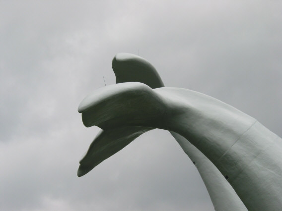 SolicoEng's tweet image. How it started vs. how it's going
#whaletails #whales #train #sculpture #composites #netherlands #runawaytrain #3Dprinting #engineering #solico
solico.nl/composite-news…