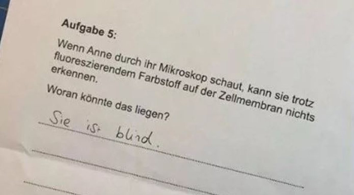 johann_boresch's tweet photo. Nicht unschlau: https://t.co/a4yPaXtdsE