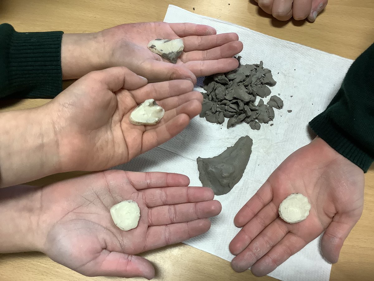 Fair Oak Junior School tweet media