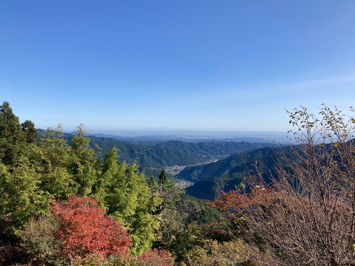 tsutaaarin's tweet photo. https://t.co/fwOA3zVZl2
