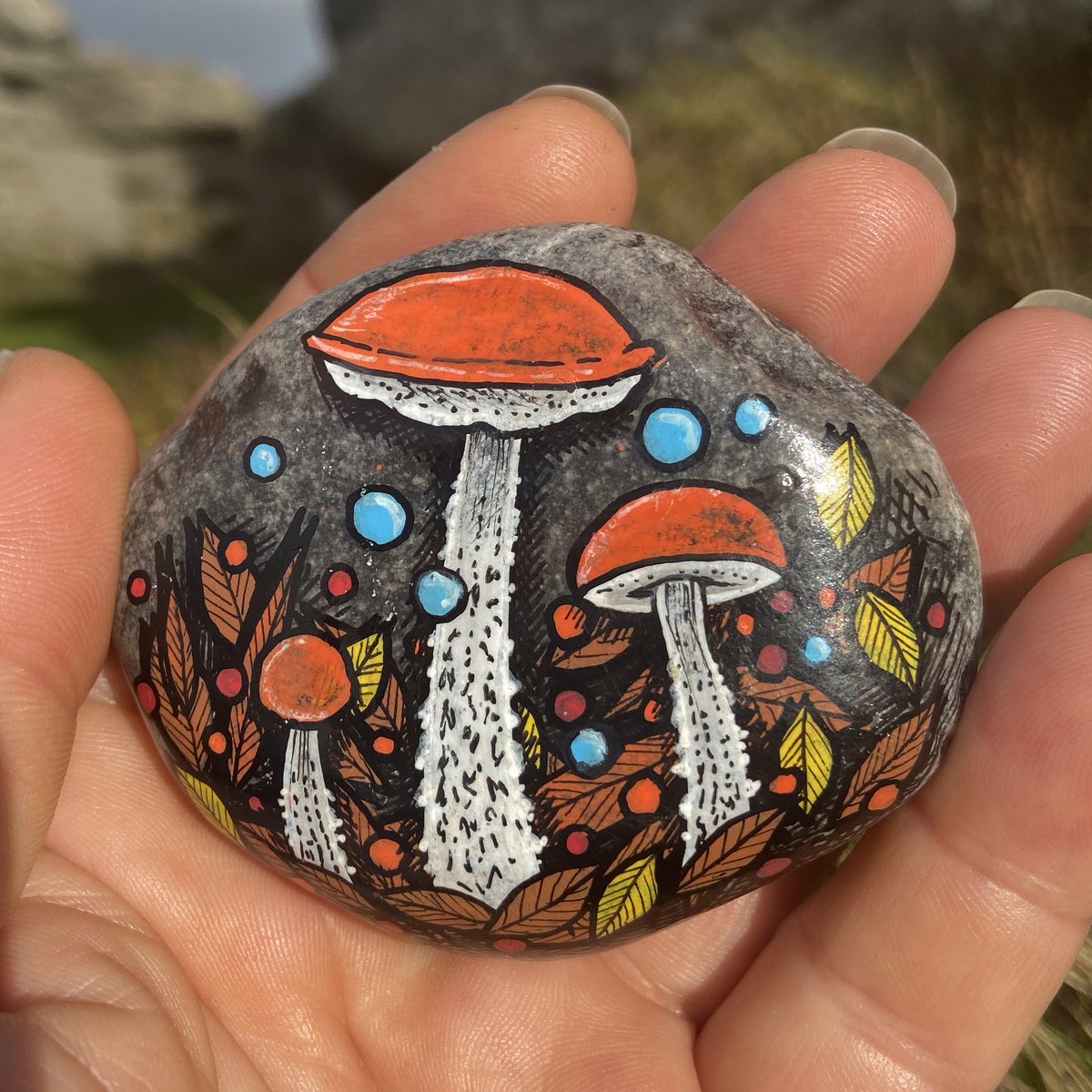 Stone 8 has been hidden! Find it & win a copy of my #secretsofadevonwood book.

More info & clues here: bernoid.com/celebrate-a-ro… 

#stoneart #artwork #pebblepainting #pebbleart #Devon #DevonStoneArt #Dartmoor #HoundTor #Tor