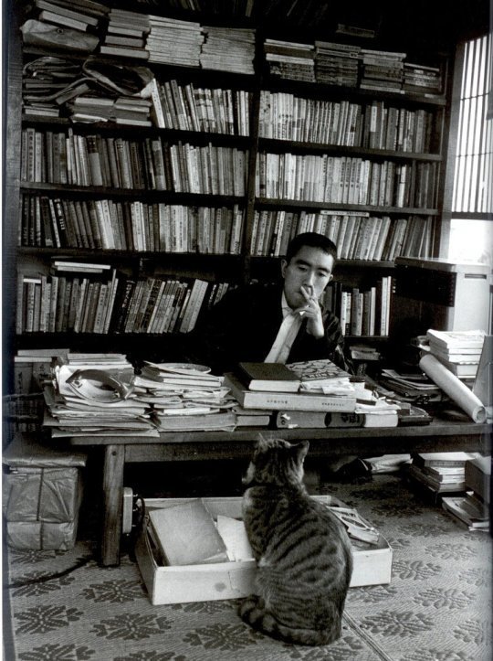 lunarscp's tweet photo. Yukio Mishima and curious cat. https://t.co/1im4F53RUV
