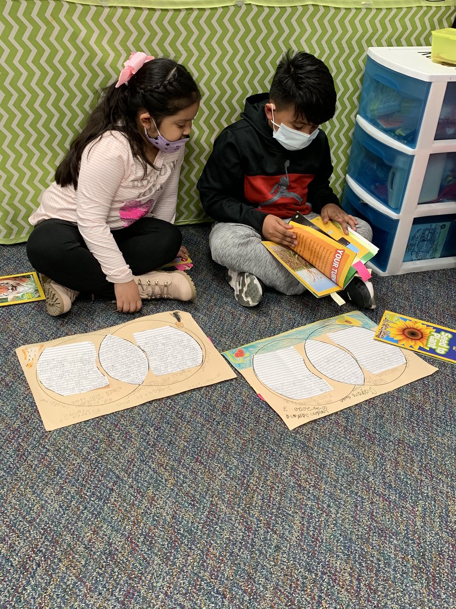 Katharina Hargitay tweet media