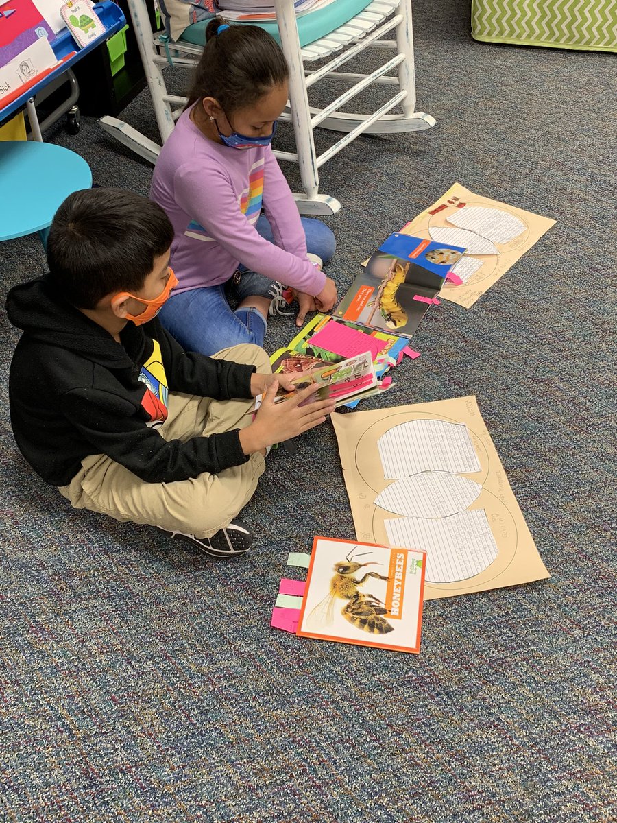 Katharina Hargitay tweet media