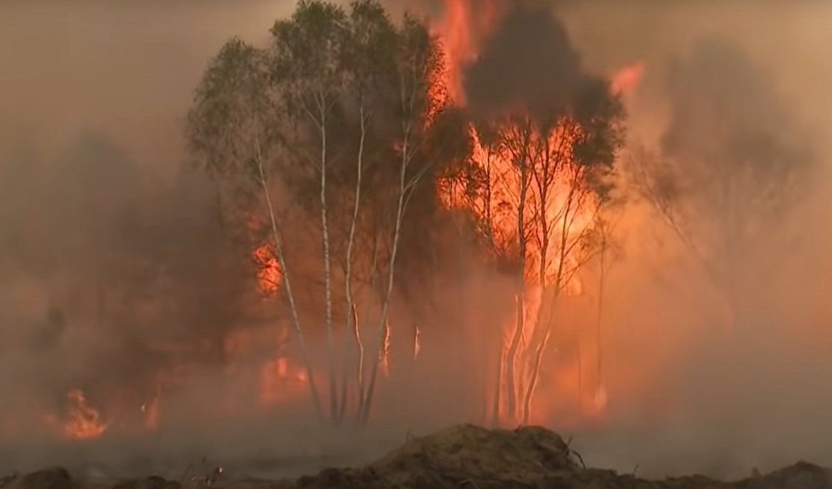 OCMediaorg's tweet photo. The Armenian Environmental Front has released a joint statement signed by 50 institutions expressing concern over environmental damage in Nagorno-Karabakh. They accused Azerbaijan of using white phosphorus on forested areas.

⚡️ Live updates: https://t.co/34Z6CjL6Cm https://t.co/lk01lvw5kx