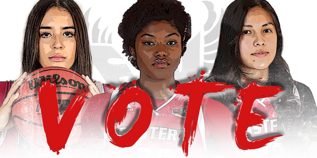 Election Day. #AllVoteNoPlay