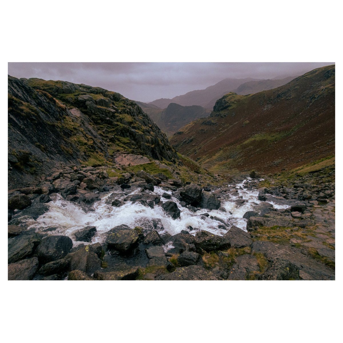 Jake Lewis tweet media