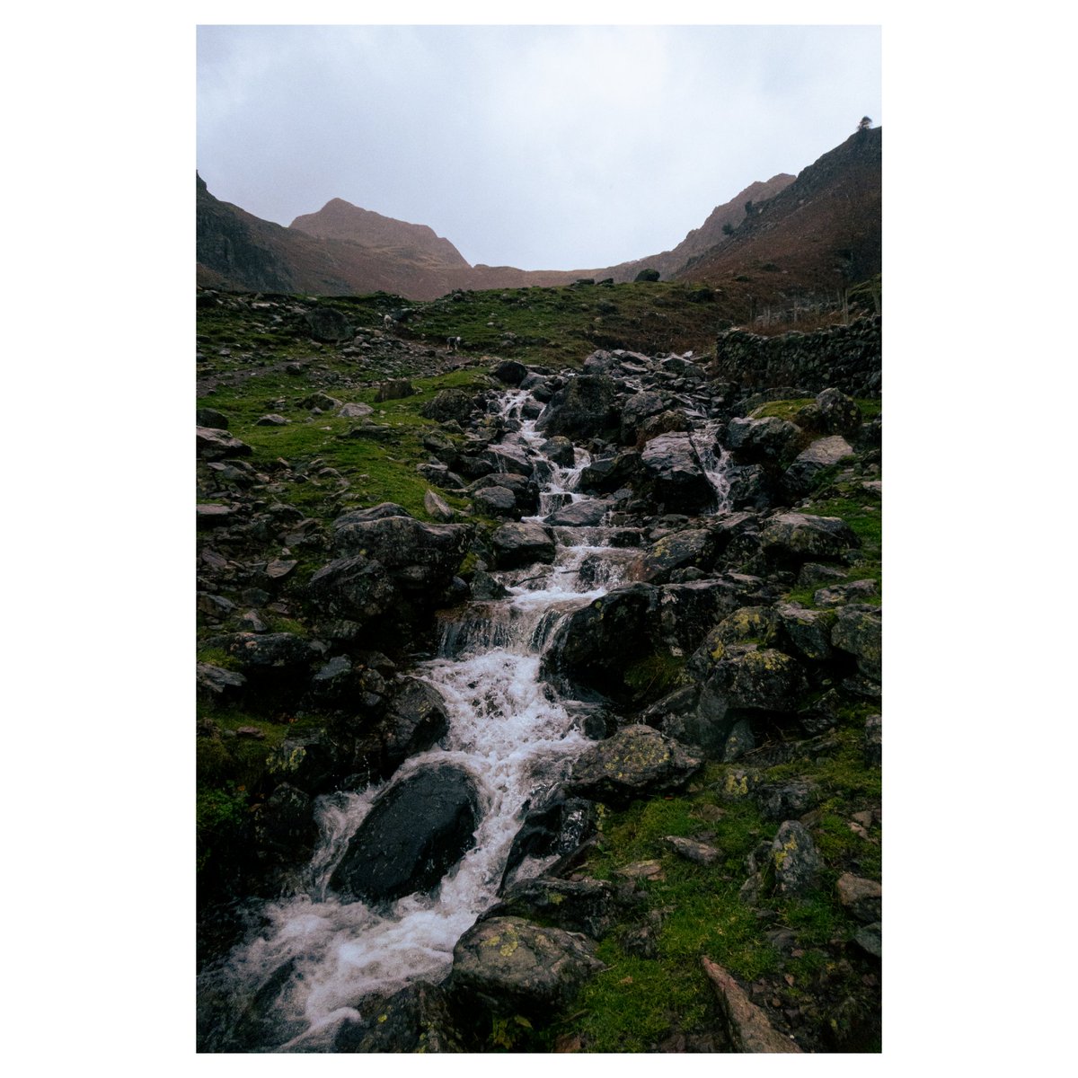 Jake Lewis tweet media