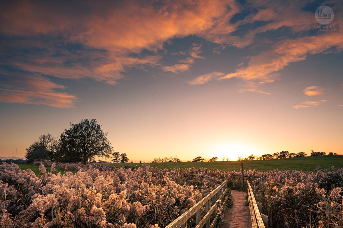 ItsGavinKing's tweet photo. I saw this spot the other night,  I couldn't wait to get back down there with my camera 😍
#sunset #landscapephotography #landscape #skyporn #suffolk #sun #sky #beautiful #photographer #photography #canon  #gavinkingphotography #ipswichphotographer #suffolkphotographer https://t.co/Xee7nN0vMs