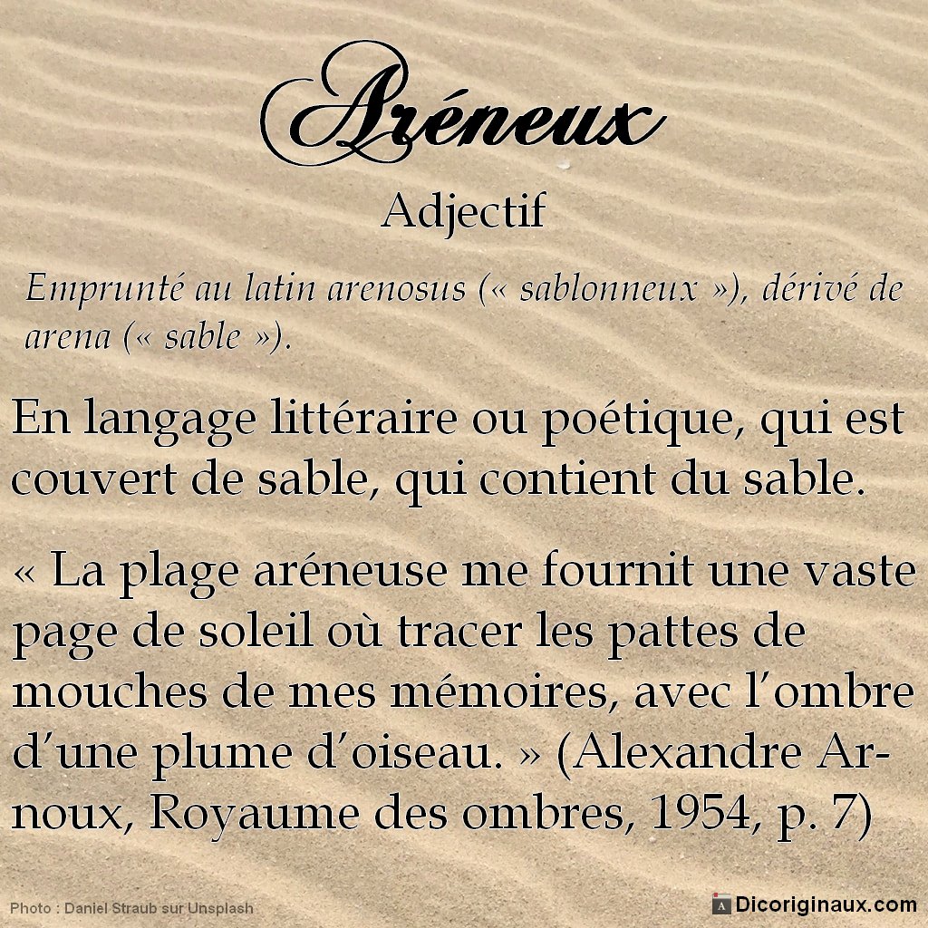 dicoriginaux's tweet photo. Aréneux : en langage littéraire ou poétique, qui est couvert de sable, qui contient du sable.

En savoir plus : https://t.co/5W8xBayMVd

#1jour1mot #1Mot1Tweet #1image1mot #languefrançaise #vocabulaire https://t.co/QBlxDvSEwr