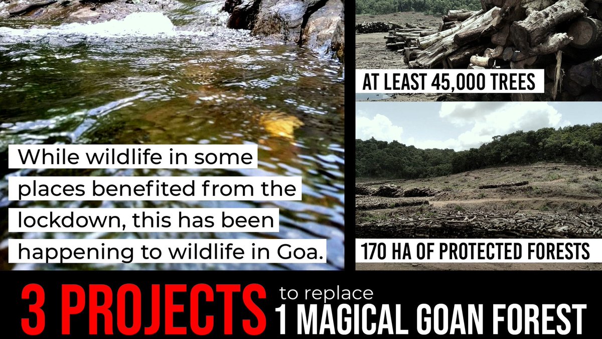 The doubling of SWR tracks is one of the three major Central government projects which is being opposed by civil society groups and opposition parties for a number of reasons  #GoyantKollsoNaka  #AmcheMollem  #SaveMollem