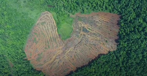 Sunday night's protests highlight the environmental destruction, given that the projects are to negatively affect the Western Ghats, forest areas in Mollem, the lakes, rivers and farm lands in Goa. #GoyantkollsoNaka  #AmcheMollem  #SaveMollem