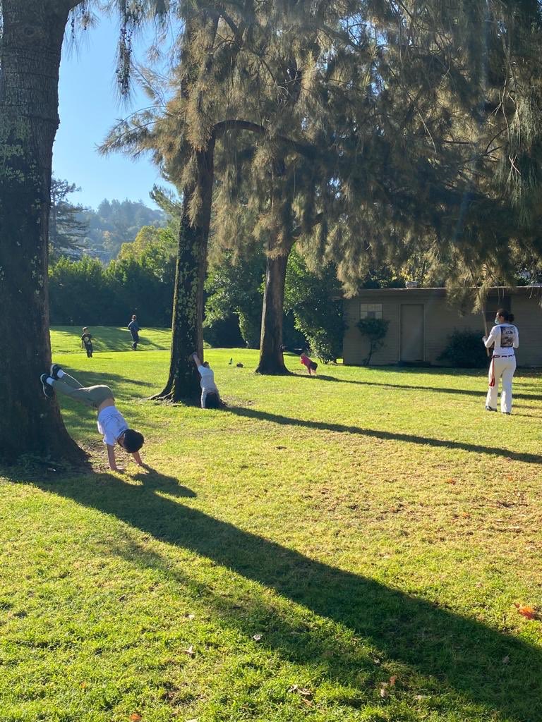 ABADAMarin's tweet photo. Stay tuned to the changes on winter schedule from November 1st and on!! #newschedule 👉🏾 https://t.co/mriAyLBdh3 @cortemaderaparksandrec @capoeira.marin @pregoabada https://t.co/HqvtaSbOmx