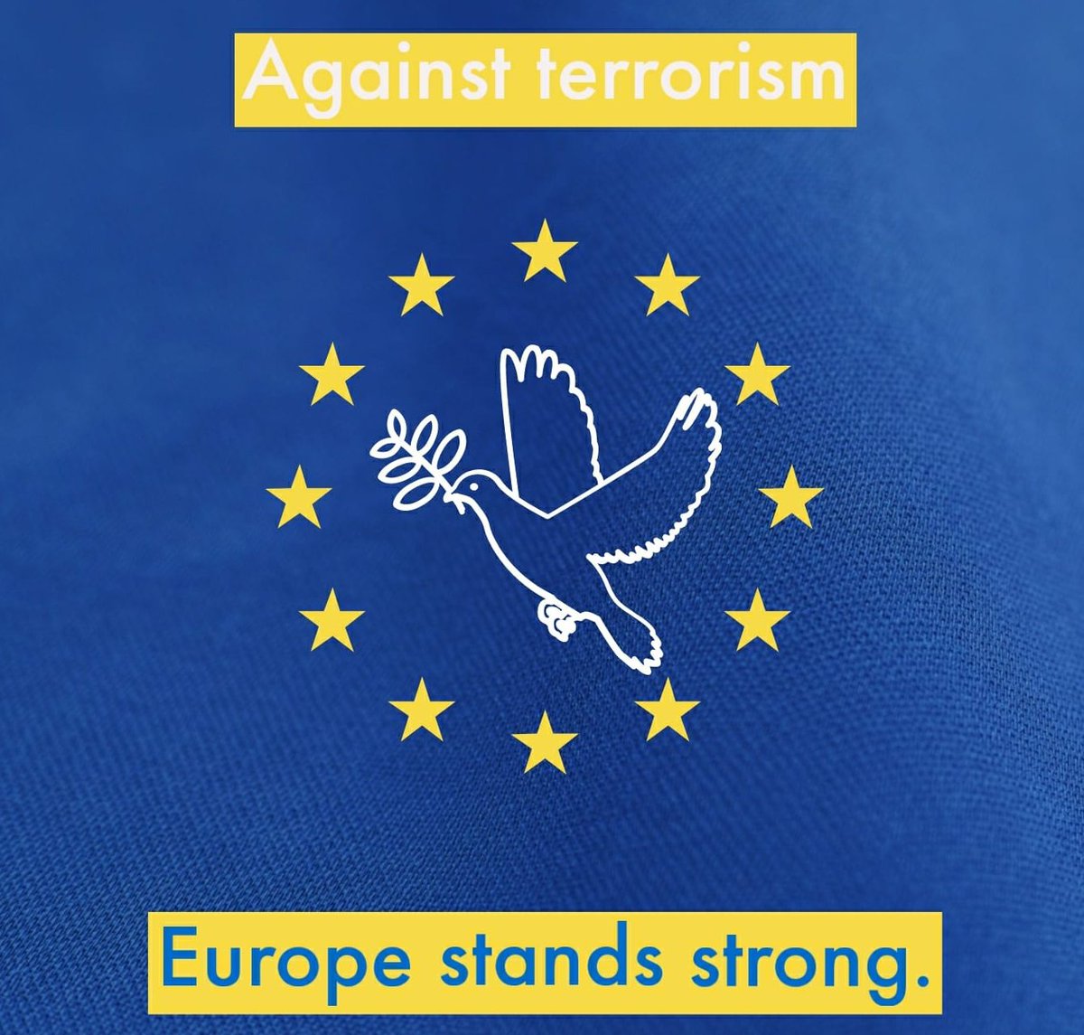 🔥Against terrorism. Europe stands strong. 

We are living hard times, but our Union acts in solidarity: we all are victims of terrorist attacks 🙏

#Wien #Europe #Peace #WienAttack