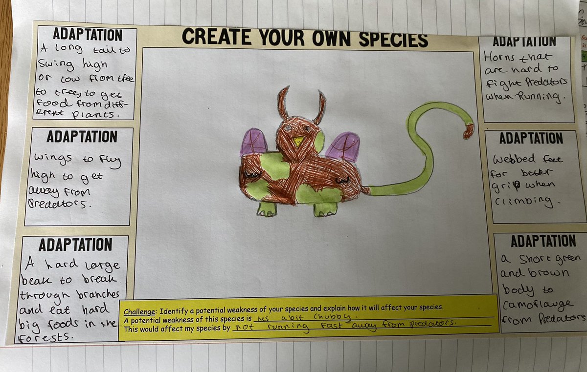 Miss Budd tweet media