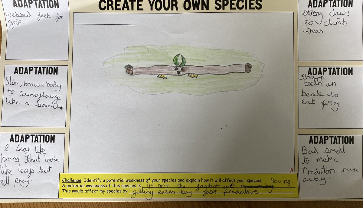 Miss Budd tweet media