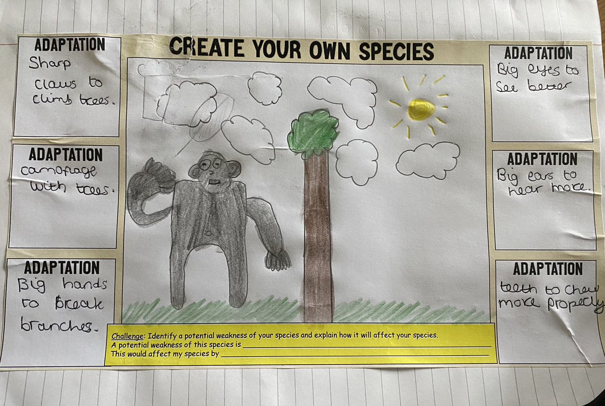 Miss Budd tweet media