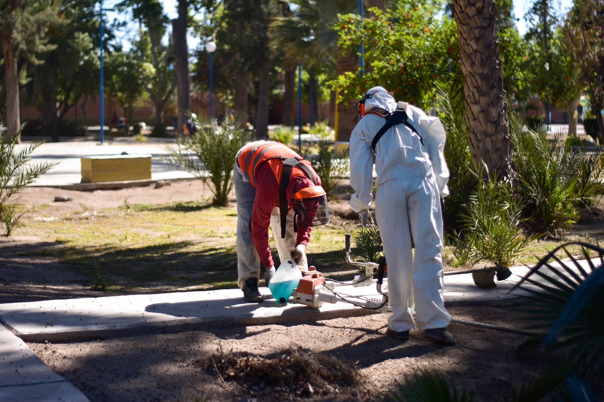 caucetegob's tweet photo. PLAZA SAN MARTÍN, LIMPIA Y SANEADA 

A través del Programa Caucete Verde, la Subsecretaría de Ambiente, con su Coordinación de Espacios Públicos, efectuó tareas de mantenimiento y limpieza de la plaza San Martín de Villa Independencia y alrededores. https://t.co/M4J8kdJ1iy