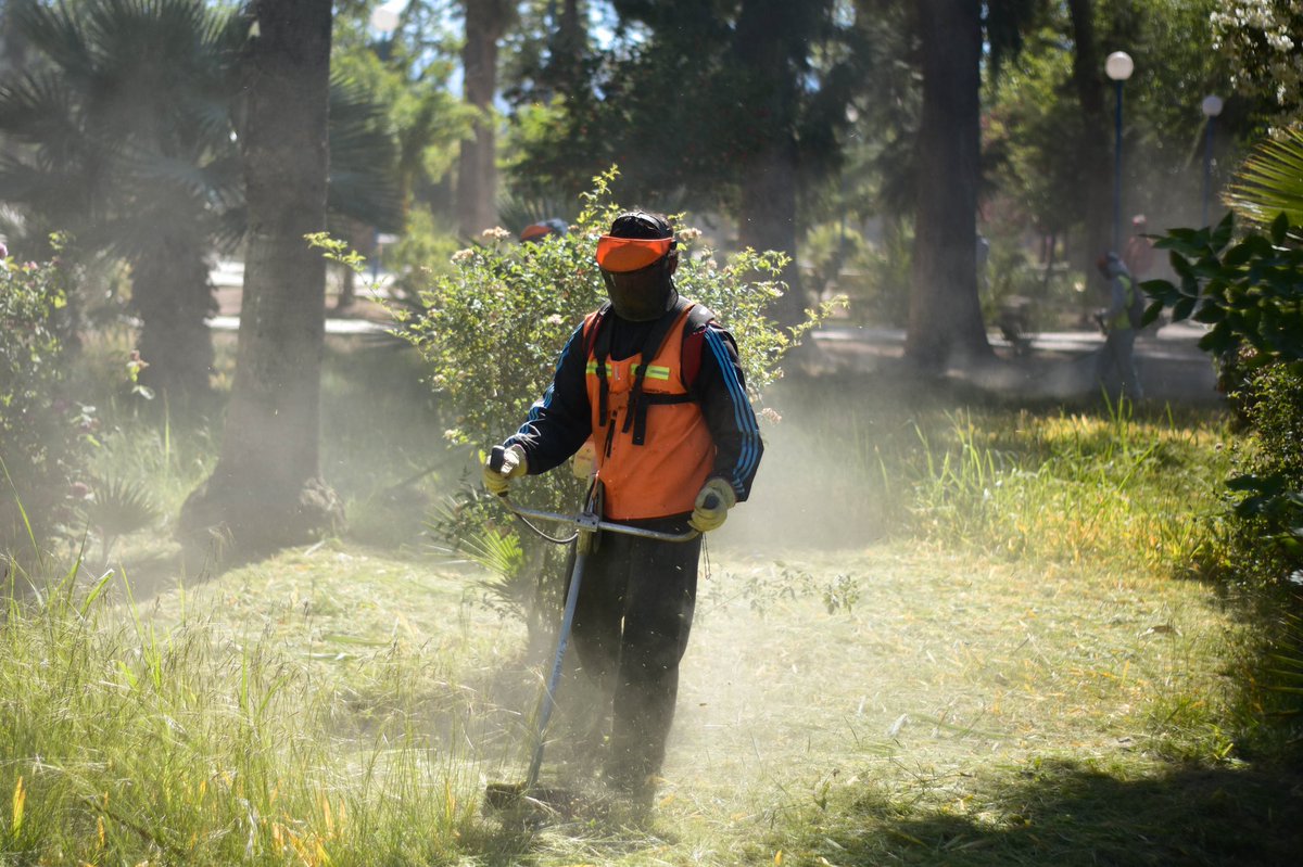 caucetegob's tweet photo. PLAZA SAN MARTÍN, LIMPIA Y SANEADA 

A través del Programa Caucete Verde, la Subsecretaría de Ambiente, con su Coordinación de Espacios Públicos, efectuó tareas de mantenimiento y limpieza de la plaza San Martín de Villa Independencia y alrededores. https://t.co/M4J8kdJ1iy