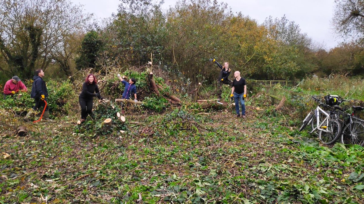 Big thank you to @LBCV_London #conservationvolunteers who coppiced a section of Horse Shoe Thicket #Walthamstowmarshes last week. First Sunday of each month. A friendly group of people with a passion for wildlife conservation. Thanks guys, big job done!