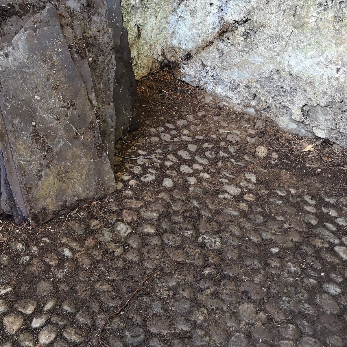 AghadoeDist's tweet photo. Original cobbles from floor of eastern stable. https://t.co/eAQmnCbwuo