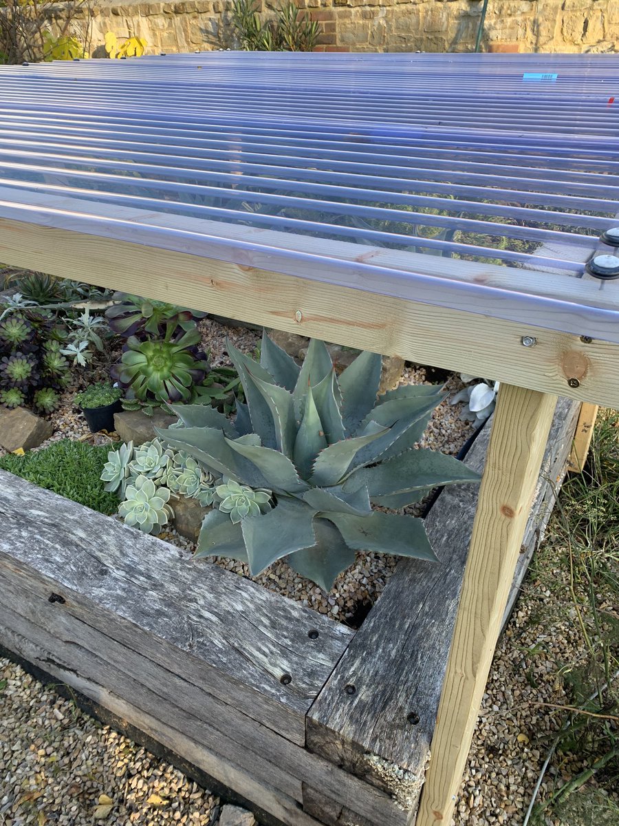 BruceBigPlant's tweet photo. Agave roof finally on, just got to finish building enclosure over the tender exotics bed.     #hardyagaves #succulentplants #agaves #winterprotection https://t.co/lseypJxe5w